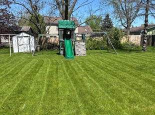 Tonya S.'s lawn care services service result