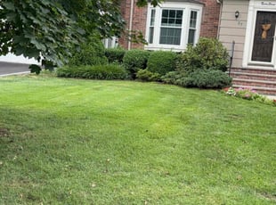 Chris W.'s lawn care service result