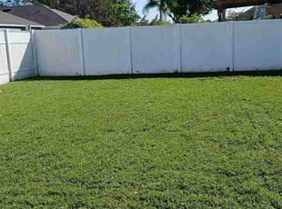 Tara M.'s turf maintenance service result