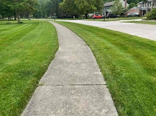 James M.'s residential landscaping service result