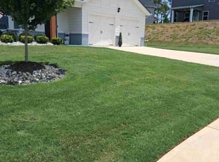 Debra L.'s lawn service service result