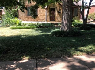 Sili L.'s lawn care service result