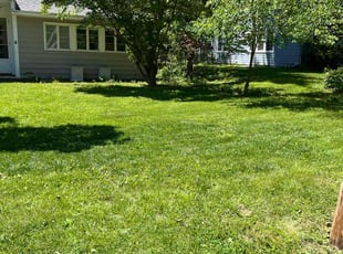 John C.'s lawn care service result