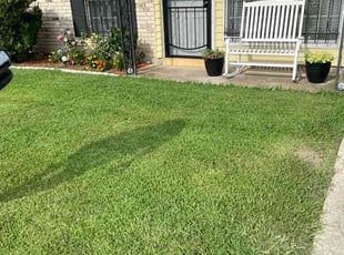 Katherine N.'s lawn maintenance service result