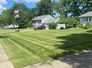Stephen S.'s turf maintenance service result