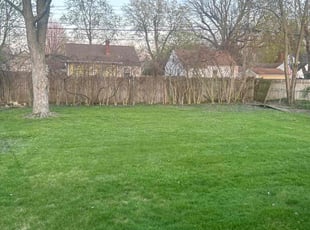 Joslyn F.'s lawn care service result