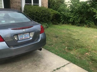 Jason K.'s Bush Trimming service result
