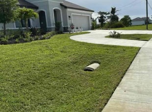 Trevor H.'s grass maintenance service result