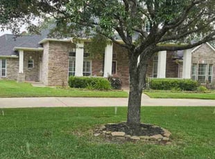 Shawn D.'s grass maintenance service result