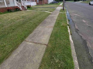 Marianne H.'s turf maintenance service result