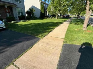 William S.'s lawn maintenance service result