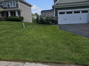 Le T.'s lawn care services service result