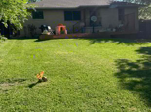 Tanner L.'s lawn maintenance service result