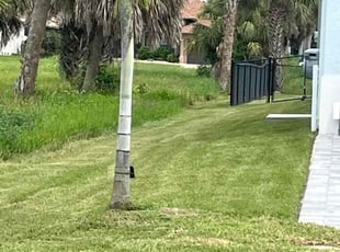 Margie N.'s lawn care services service result