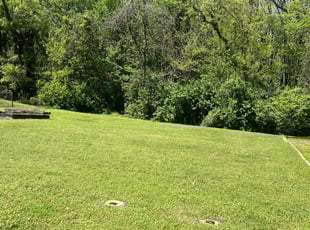 Patrick M.'s lawn care service result