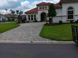 Steve T.'s turf maintenance service result