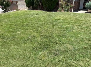 Erik M.'s lawn care services service result