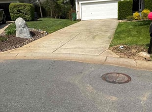 Kelly S.'s lawn care service result