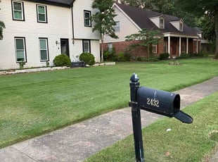 John A.'s grass cutting service result