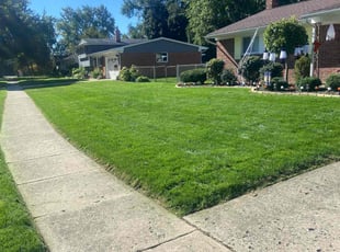Joyce W.'s turf maintenance service result