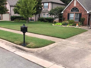 Art E.'s turf care service result