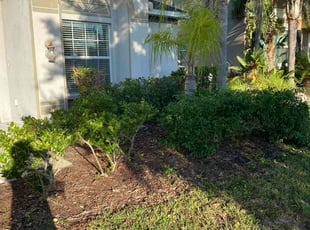 Katina C.'s Bush Trimming service result