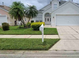 Ebrahim M.'s grass cutting service result