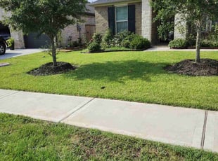 Kelly G.'s lawn service service result