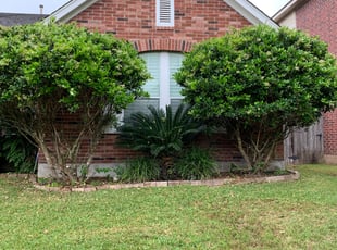 Karen B.'s Bush Trimming service result