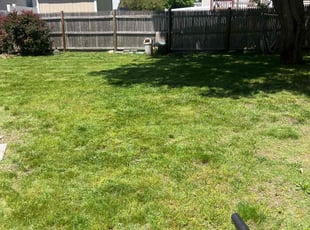 James H.'s lawn care services service result