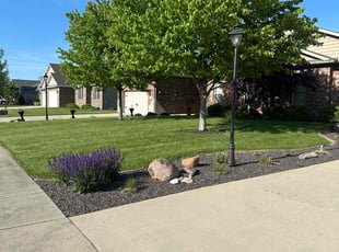 Kathy C.'s turf care service result