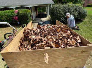Jennifer R.'s Leaf Removal service result