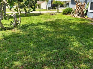 Galadriel J.'s lawn maintenance service result