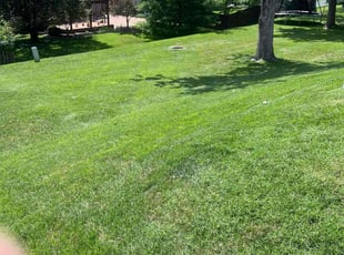 Jill H.'s lawn service service result