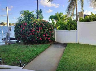 Kelli L.'s Bush Trimming service result