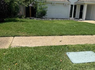 Danboa P.'s turf care service result