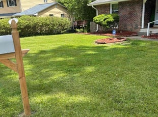 Kevin P.'s lawn maintenance service result