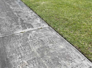 Dhana C.'s turf care service result