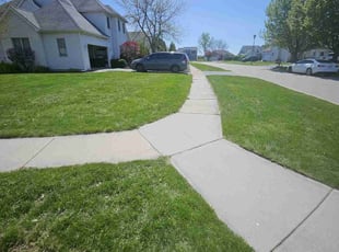 Ziyad A.'s lawn care services service result