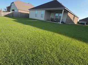 Roxanne S.'s turf care service result
