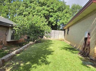 John B.'s turf care service result