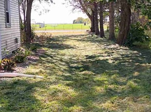 Frank T.'s lawn maintenance service result