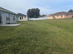 Basu N.'s turf care service result