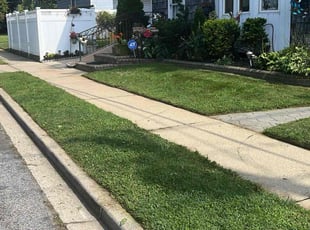 Michael D.'s turf maintenance service result