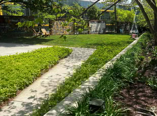 Tiffany R.'s lawn maintenance service result