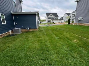 Brandon P.'s lawn care services service result
