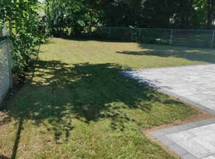Diane A.'s turf care service result