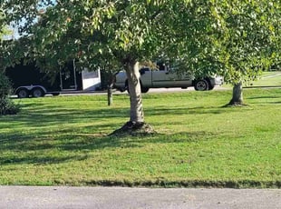 Jaime D.'s grass cutting service result