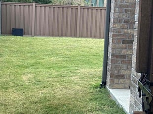 Craig B.'s turf care service result