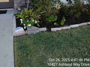 Lori G.'s lawn care service result